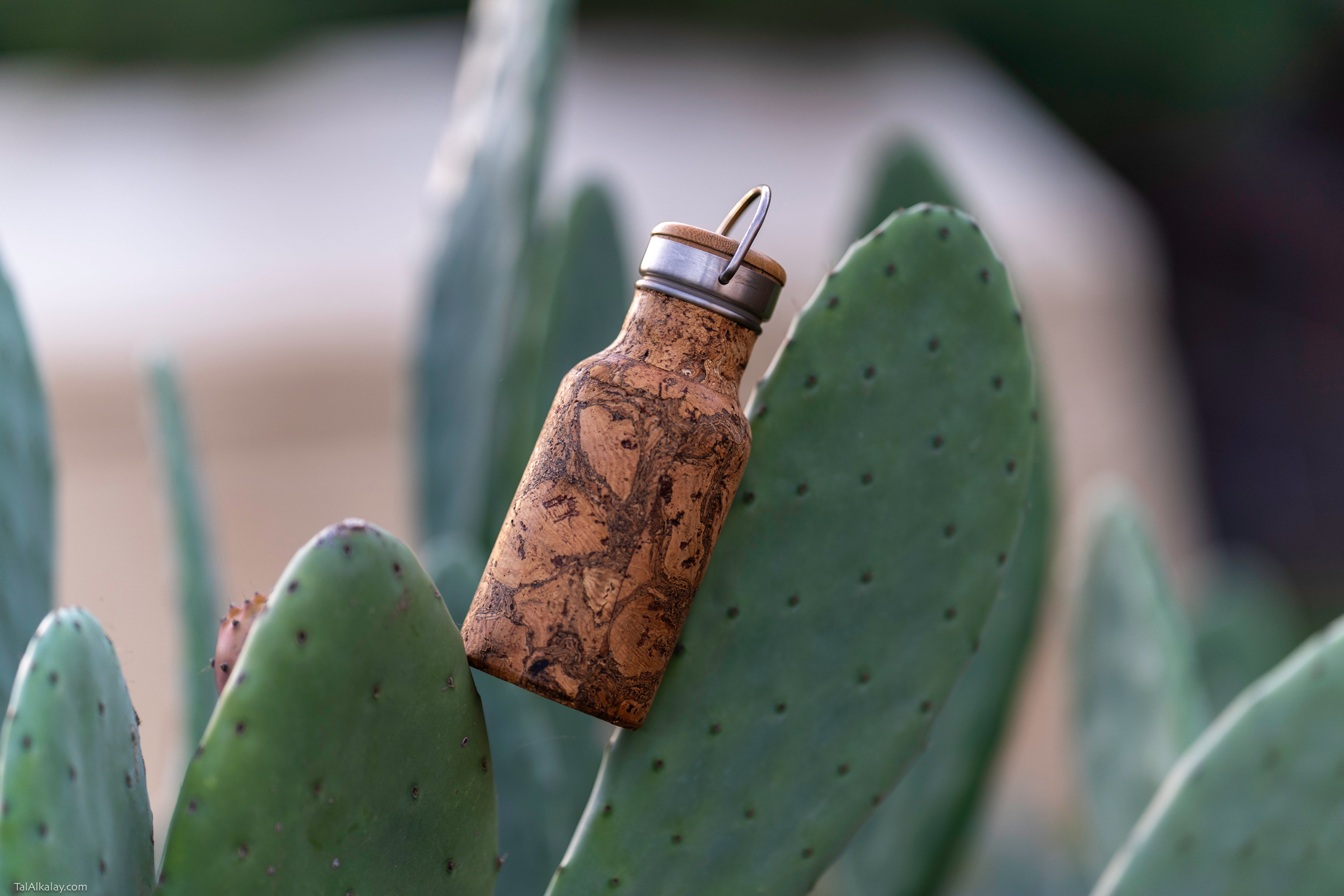 Cork Water Bottle Collection