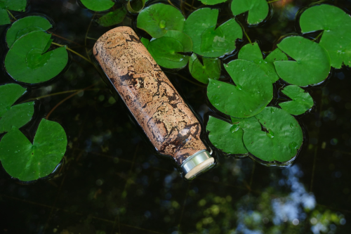 5 Simple Swaps for a Plastic-Free Life (That You Can Start Today) | ReBOTTLE