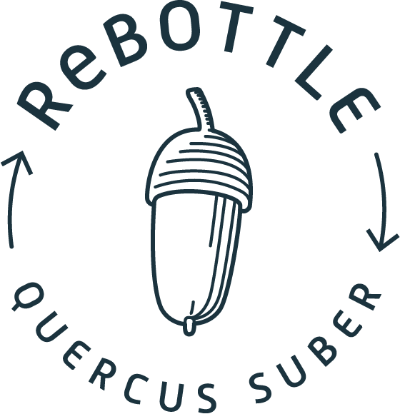 Cork Accessories Collection